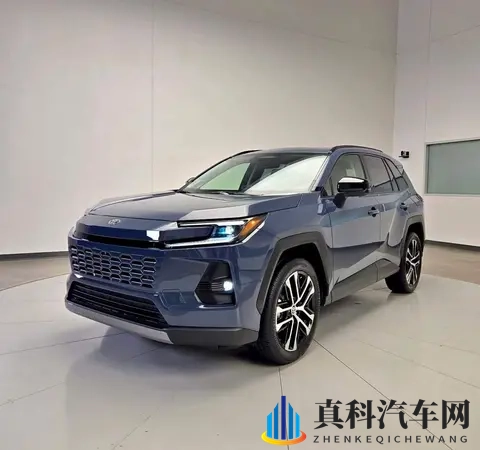 威兰达选购指南：这3个版本别买，内行人只选它！-1