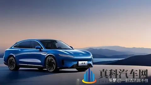 预算 10 万想捡漏?新能源 “烂尾车” 能不能买?-1