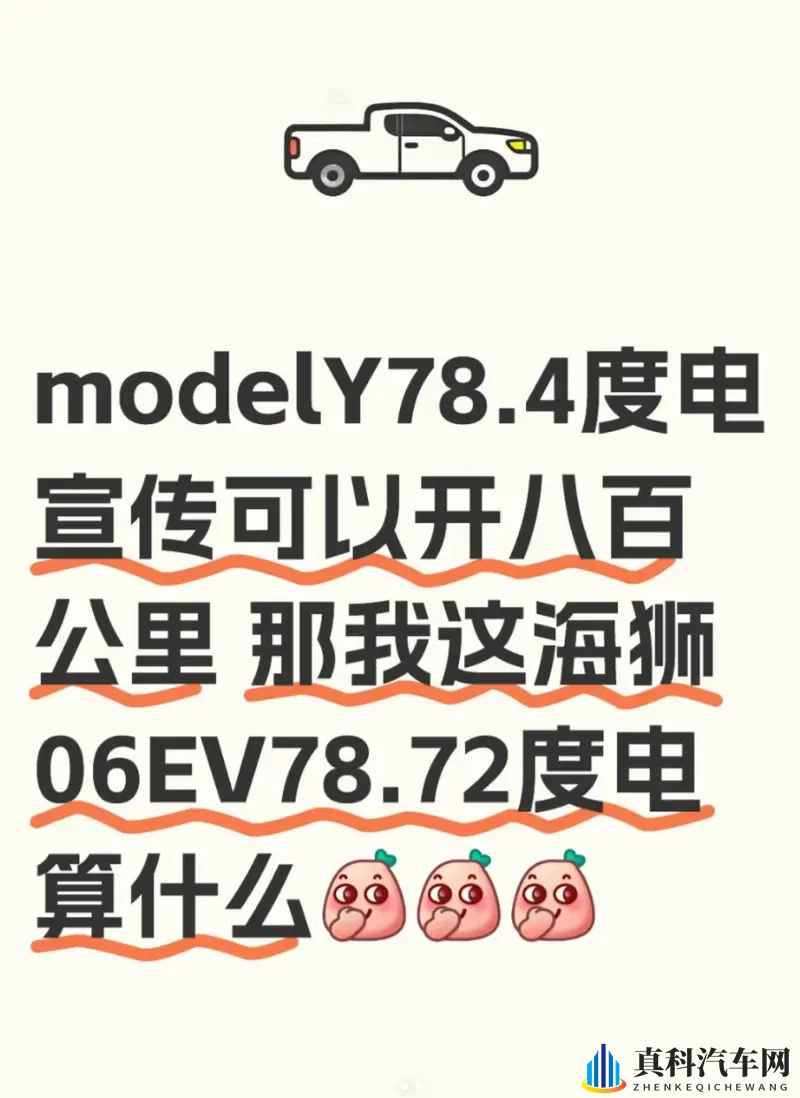 Model Y 和海狮 06EV :电池容量差不多-1