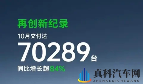 第1名=2-10名销量总和？10月新能源汽车销量相差太大-1