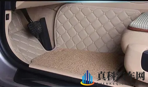 汽车脚垫怎么买不踩坑,脚垫哪个牌子好?-1