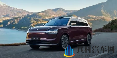 同车不同命!新能源车险为何成为“甜蜜负担”?-1