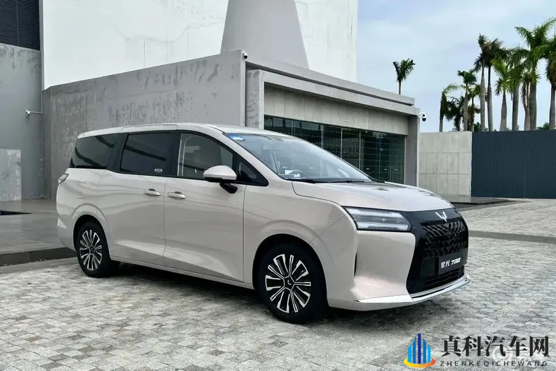 不到8万买家用大七座，油、电、混动全都有！-1