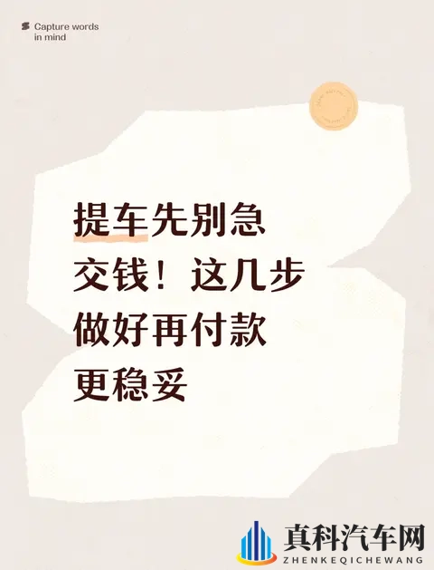 提车先别急交钱！这几步做好再付款更稳妥-1