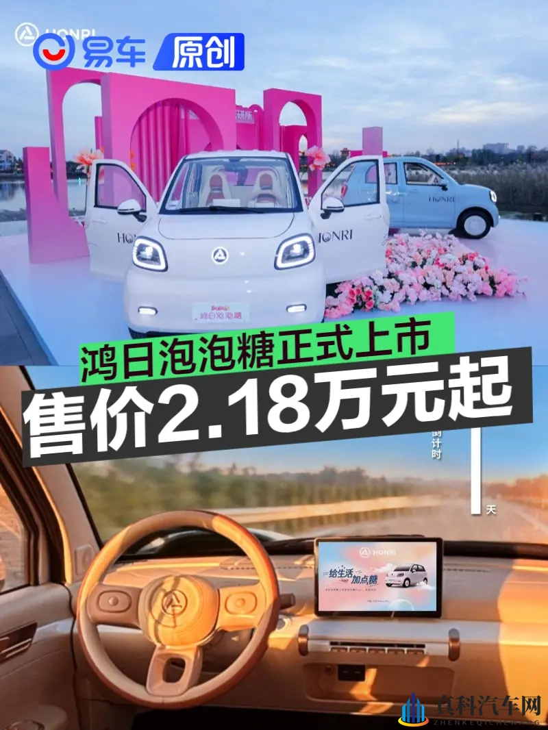 鸿日泡泡糖正式上市 售218万元起-1