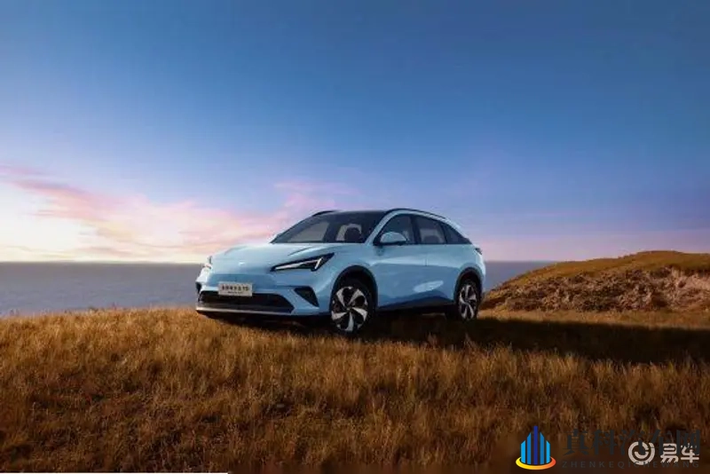 黑人与娇小又粗又大：独特设计新SUV，科技动力安全全升级-2