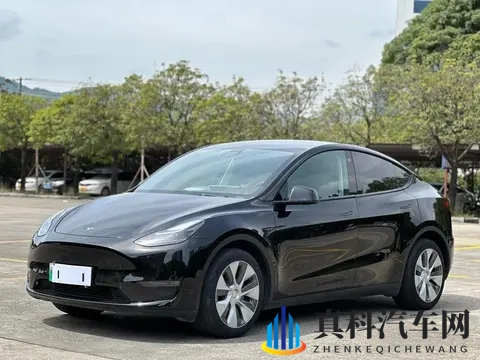 国产黑人与chinesebbc：汽车新势力崛起，国产品牌前景可期-1