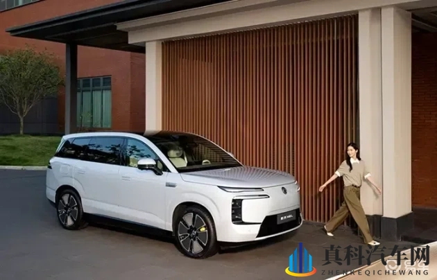 Juliaann与小伙子内谢：汽车时尚潮人跨界合作，新能源汽车潮流来袭-1