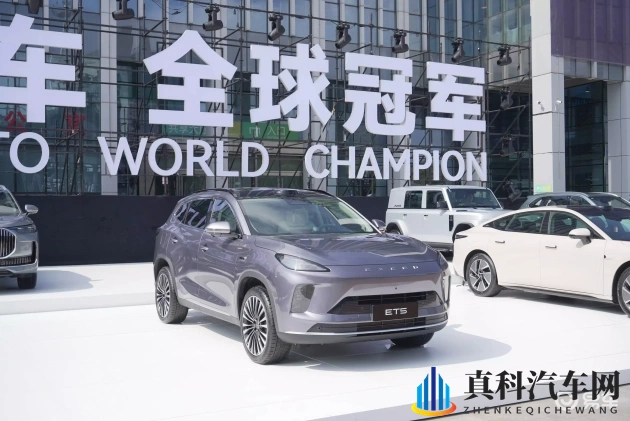 两个球球抖动视频抓球球网站：智能抓球系统：汽车安全新突破-1