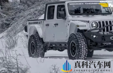 2025 AT轮胎 品牌推荐-3