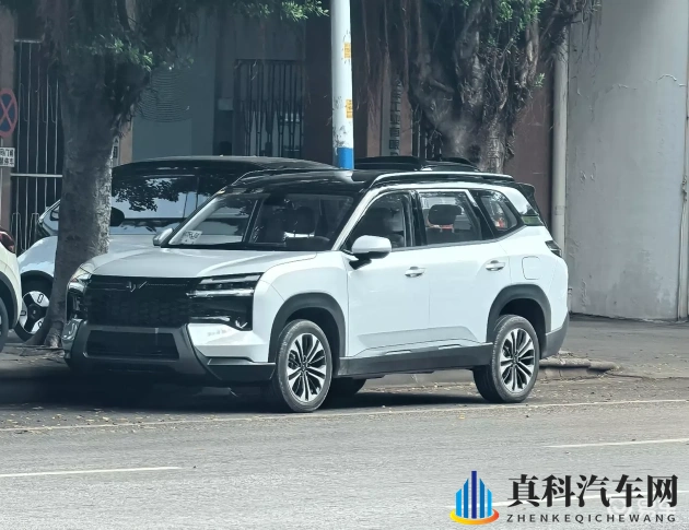 男生插女生APP:智能助手革新驾驶,安全舒适体验升级-1