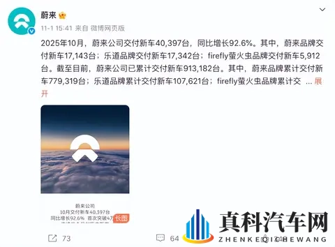 10月车企销量 黑马零跑破7万,巨头比亚迪狂揽44万-1