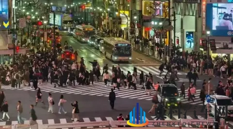 东京车展观察:熟悉又陌生的日系车与单刀赴会的国产力量-2