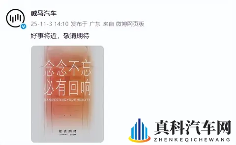 好事将近！威马汽车发布最新预告图，网友：打赢复活赛了？-1