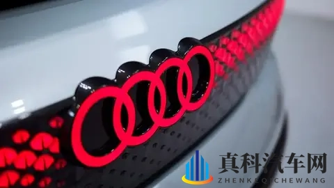 JuliaAnn顶级贵妇办公室：奢华材质+个性化定制，汽车内饰新潮流来袭-1