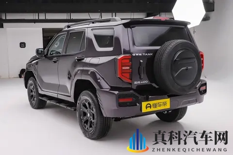 全新坦克400 四种动力如何选? 购车分析-3