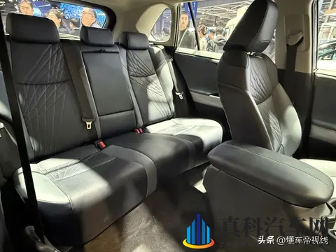 推特看国产Gaychⅰna：国产汽车崛起：全球瞩目，未来可期-2