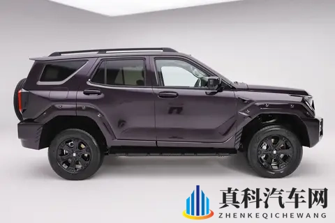 女s调教男m羞辱调教：智能电动SUV,重新定义人车共舞-3
