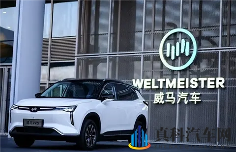 黄色软件下:汽车智能革命:市场新变局,产业大升级-2