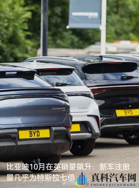 比亚迪10月销量是特斯拉7倍，中国电车在海外杀疯了-1