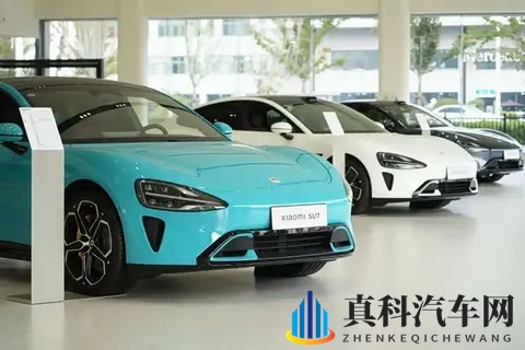 毛利率之争白热化：谁将赢得未来市场的入场券？​-2