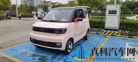 电车和油车大家是怎么选择的呢-2