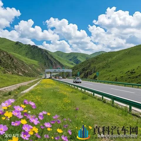 高速公路的治理挑战-1