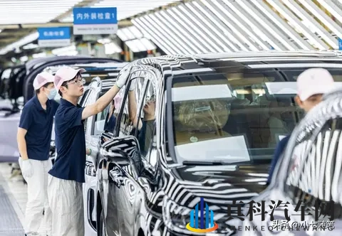 10月新能源车销量榜：零跑B10登顶，新势力改写行业秩序-3