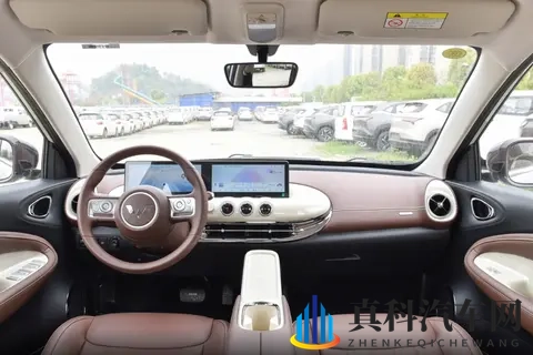 推荐入手中配，五菱缤果产品力均衡，三种续航版本可选-3