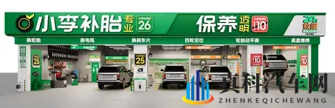 网禁 拗女稀缺1344：汽车市场新趋势：网禁影响下，年轻女性推广者稀缺之谜-2