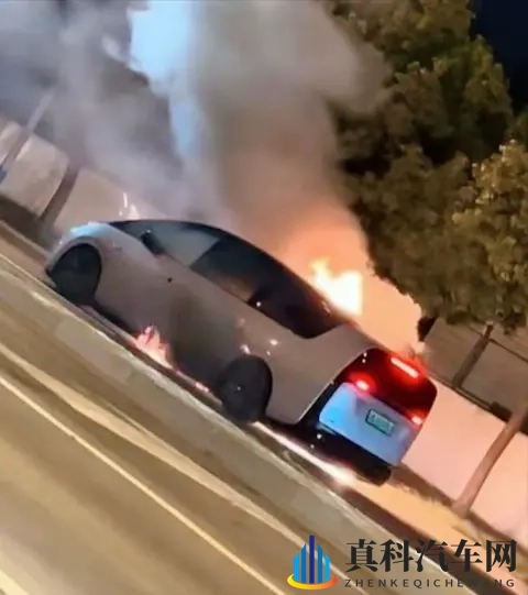 理想MEGA起火，召回11411台：一场本可避免的“冷却液危机”？-1