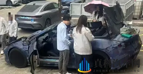 美女露乳头软件：女性形象展示程序，视觉呈现工具-2