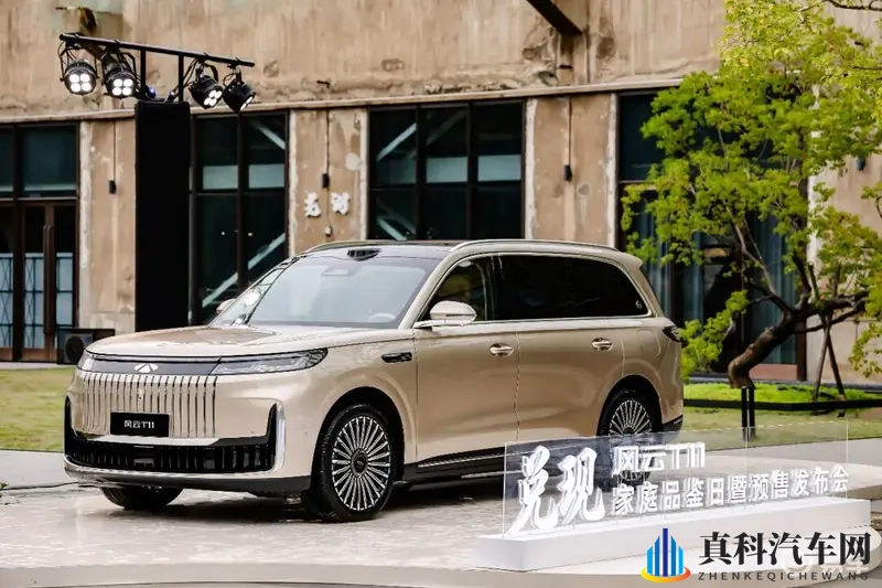 不到20万买个大6座SUV,风云T11会不会成为新选择?-1