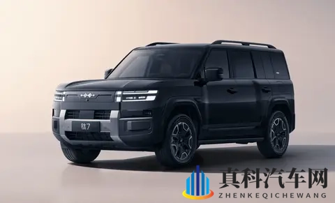 一个妈妈7中字头强华驿：妈妈出行首选，强华驿7座SUV舒适安全-3