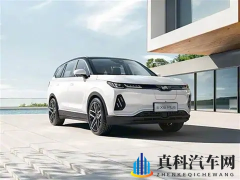 威马官宣“好事将近”欲复产，网友：先救救老车主！-3