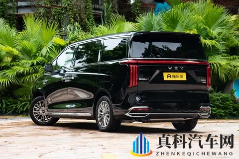 魏牌高山 7 深度解析：家庭 MPV 市场又添新选择，这些细节值得关注-3