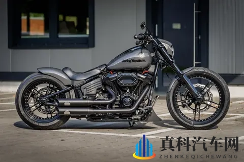 改装  “灰猎手” 哈雷戴维森突破者Breakout欣赏-1
