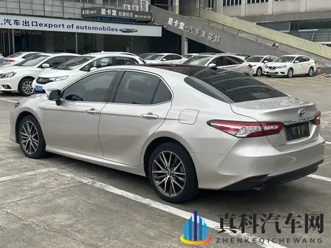 加勒比综合：神秘海域，多元文化融合之旅-3