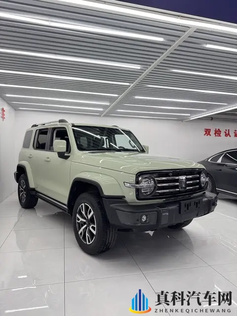 16万多拿下坦克300，圆你硬派越野梦-1