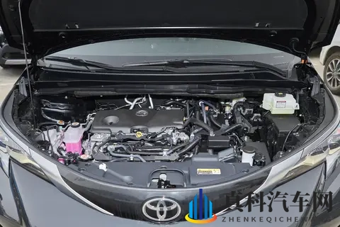 柚子猫盛世容颜小僵尸:猫咪柚子展绝美容,似僵尸萌态尽显眼-3