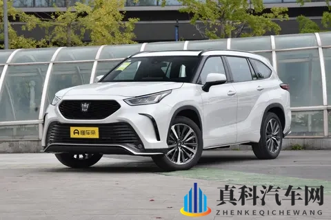 美国空姐2019满天星法版:星辉照耀下的职业光芒：新势力崛起，满天星法版汽车闪耀登场-1