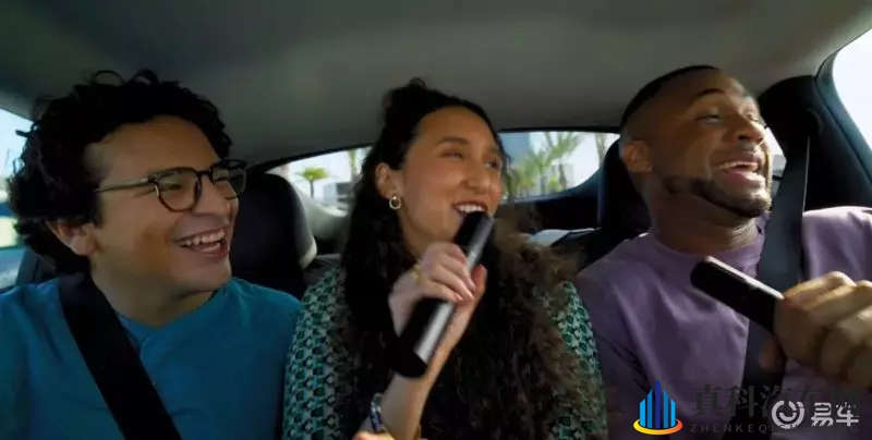 Model Y遮天窗，真能省钱-1