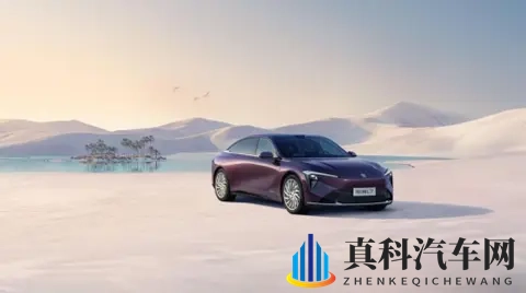 科技党必看20 万内高性价比智驾轿车，智能配置拉满不将就-1