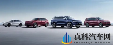 赛力斯挂牌港交所，首日一度跌超10%-1