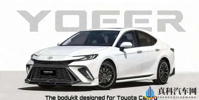 日本丰满多毛毛茸茸：日本女性身材圆润，体毛浓密引人注目-1