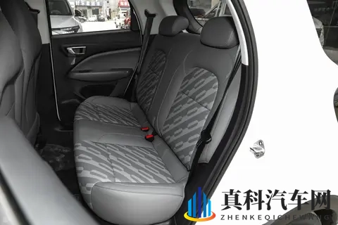 5万级纯电车,凭什么卖得这么火?看完这篇你就明白了-2