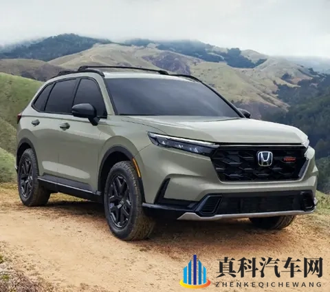 本田皓影这回可是栽大跟头啦-2