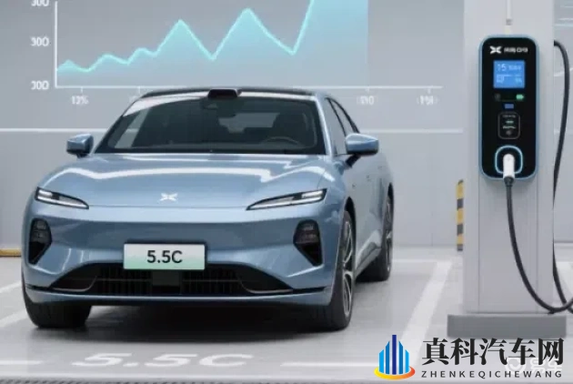 将界2之蕾蕾的身材有多好：《蕾蕾曼妙身姿，风采夺目引人注目》-1