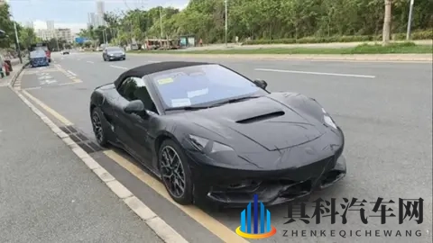 欧美人与动物：汽车设计中的动物情缘：揭秘独特灵感来源-1