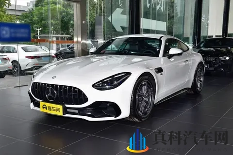奔驰AMG-GT这一年:销量跌进冰窟窿 动力玩起猫腻戏-3